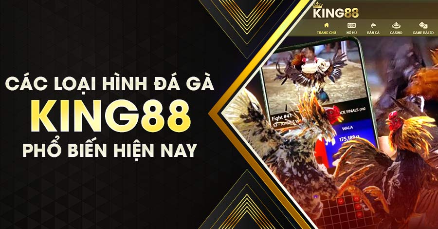 Các hình thức đá gà King88 phổ biến