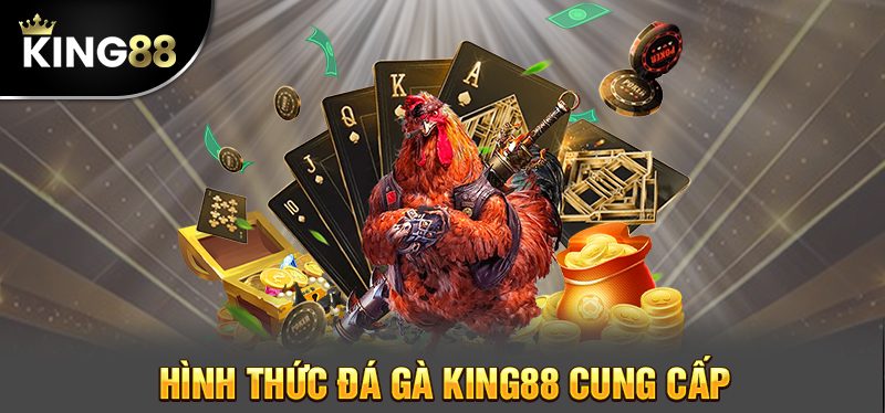 Tổng hợp các thể loại đá gà tại nhà cái King88 hot nhất