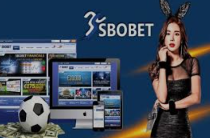 Chơi tại sảnh SBOBET King88 với trải nghiệm hoàn hảo